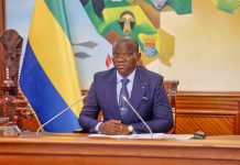 Gabon : diplomatie et gros sous, l’État blinde la propriété de ses plantes et ses crédits d’avions