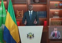 Gabon : la diaspora, un vivier de compétences et de capitaux encore sous-exploité